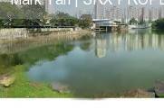 Blk 223 Pending Road (Bukit Panjang), HDB 3 Rooms #180056852